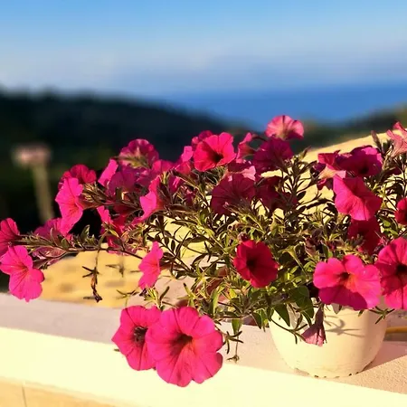 公寓 Andreas' Kato Spilaion