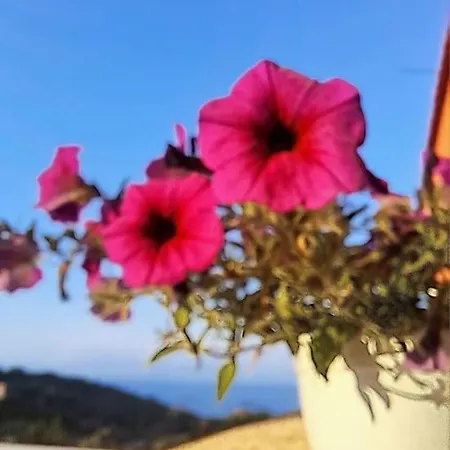 公寓 Andreas' Kato Spilaion