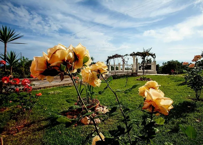 Andreas' Διαμέρισμα Kato Spilaion